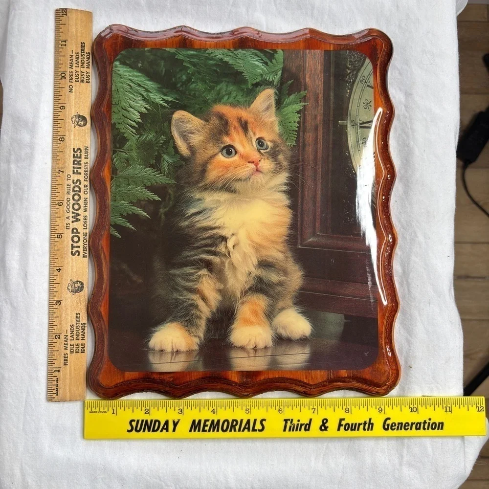 VTG Kitten Picture Lacquered Mounted Decor Calico Cat 9